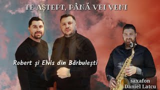 Robert și Elvis din Barbulesti - TE ASTEPT, PANA VEI VENI