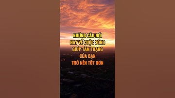Những câu nói hay về cuộc sống giúp tâm trạng của bạn trở lên tốt hơn.