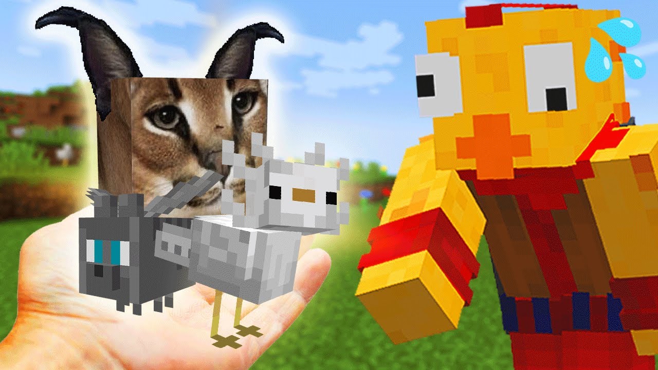 Latest Title & Thumbnail