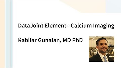 DataJoint: Element Calcium Imaging Tutorial