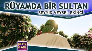 Rüyamda Bir Sultan İlahisi  I  Seyyid Veysel Ekinci  I  Nette İlahi Resimi