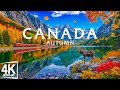 Autumn in Canada 4K 🍁 Maple Forests, Rocky Mountains, Serene Lakes draped in Fall Splendor