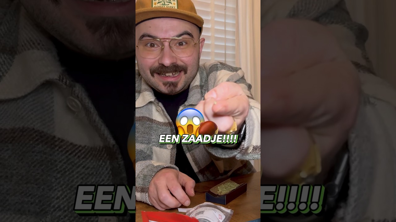 Zaad in legale wiet?!  🇳🇱👨🏻‍🌾😰😮‍💨🍃💚