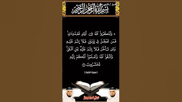 سورة البقرة من الآية 203 إلى الآية 205 بصوت الشيخ فارس عباد برواية حفص #القرآن_الكريم #اكسبلور