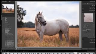 Equine Photoshoot Edit - Horse In Strawfield // Workthrough Wednesday screenshot 5