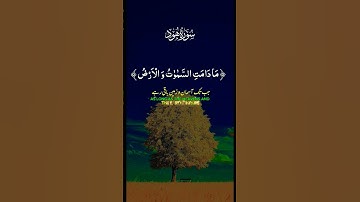القرآن الكريم سورة هود #allah #allah #islamic #islamicgod #islamicstatus #quran #اكسبلور #اكسبلور