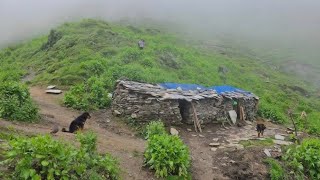 Nepali Himalayan Village Life During the Heavy Rainy Season | All Season Compilation Video |