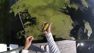 Fishing at Lake Smetana in Eden Prairie Minnesota 7 26 20