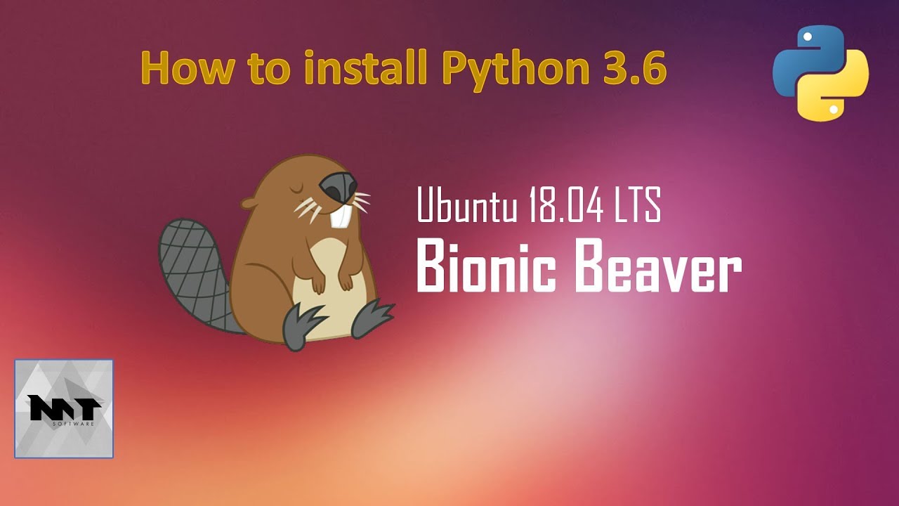 install python 3.8 ubuntu