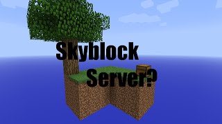 New Skyblock Server