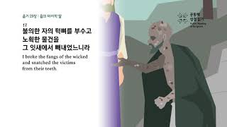 Job Chapter 29