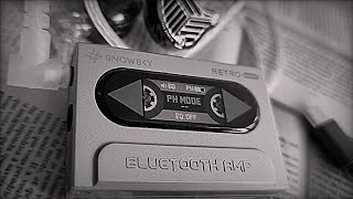: FiiO Snowsky RETRO nano:   