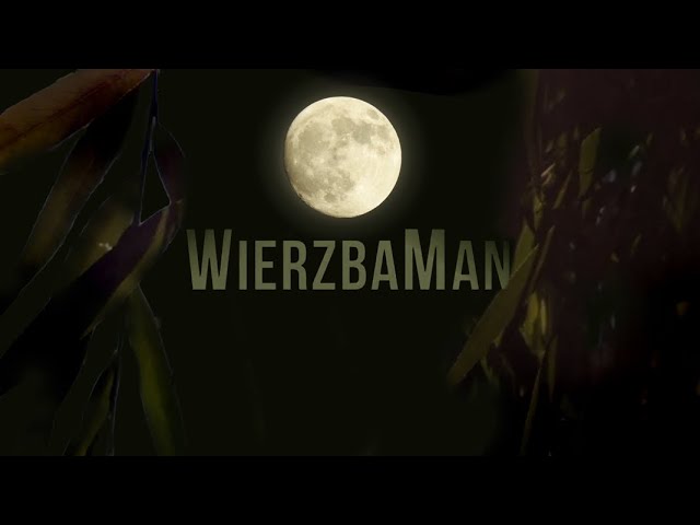 "WierzbaMan" - film