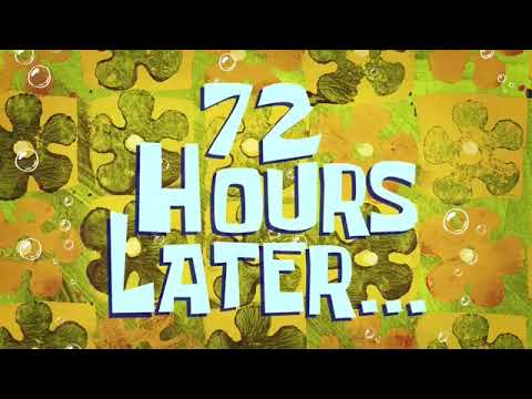 《material》｜SpongeBob｜72 hours Later   #spongebob