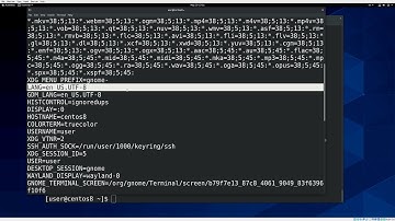 13. bash #2: переменные (RHCSA)