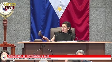 Senate Session No. 29 (November 28, 2025)