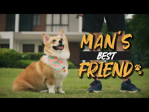 The ONLY WINGMAN Every Guy Needs