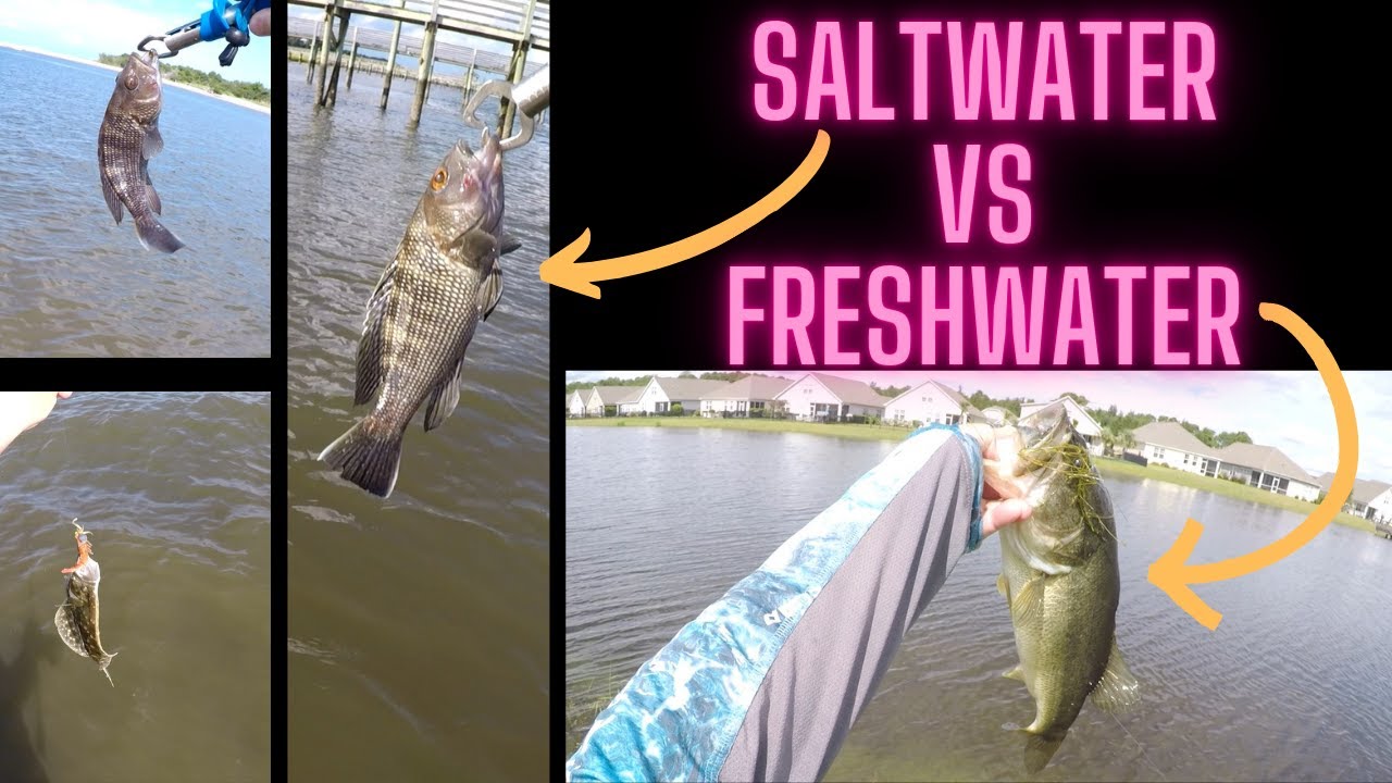 Saltwater Fishing VS Freshwater Fishing! Which is Better In Your Opinion? 