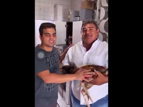 Momentos Engraçado Na Cocheira Do Pisca