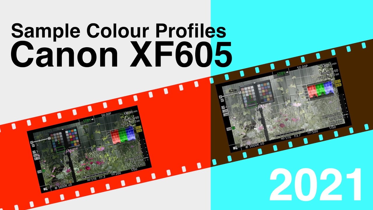 Canon XF605 Colour Profiles Examples YouTube