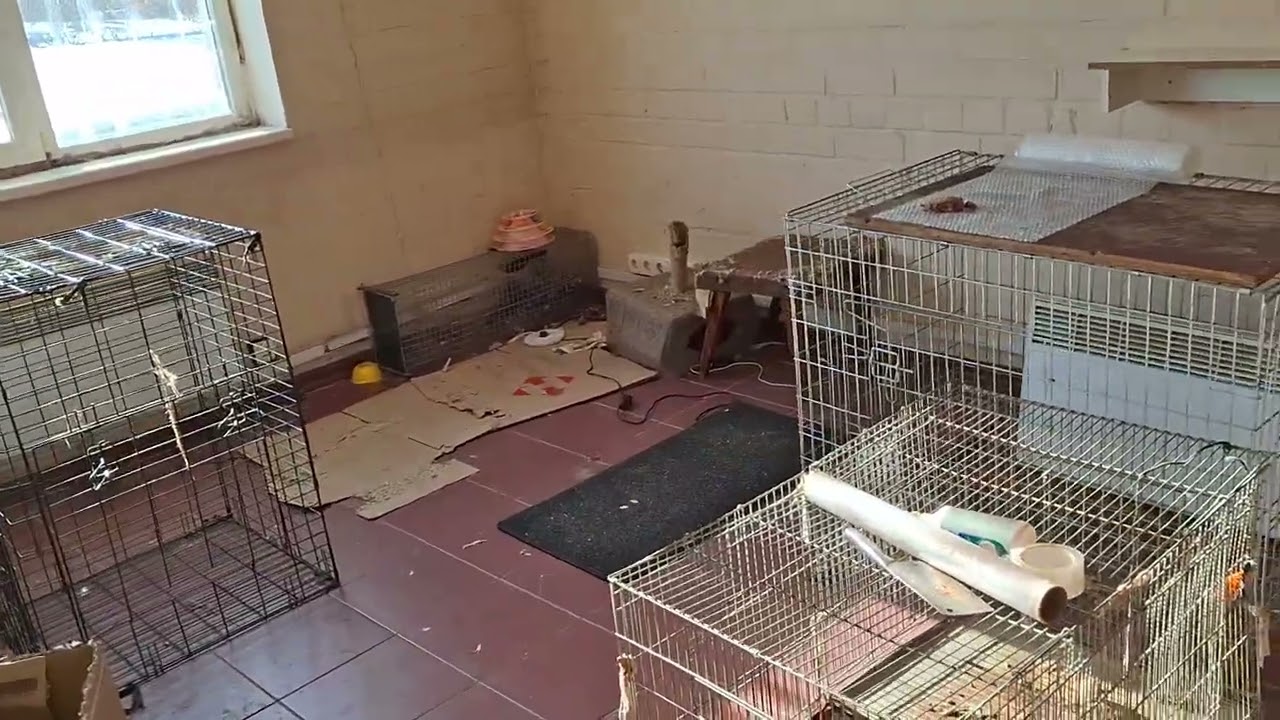 ИИ ответил за аварию. В описании смотрите к видео. 01.02.2026