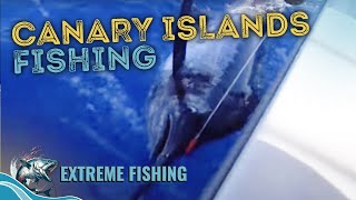 Canary Islands Fishing Journey | Extreme Fishing screenshot 5