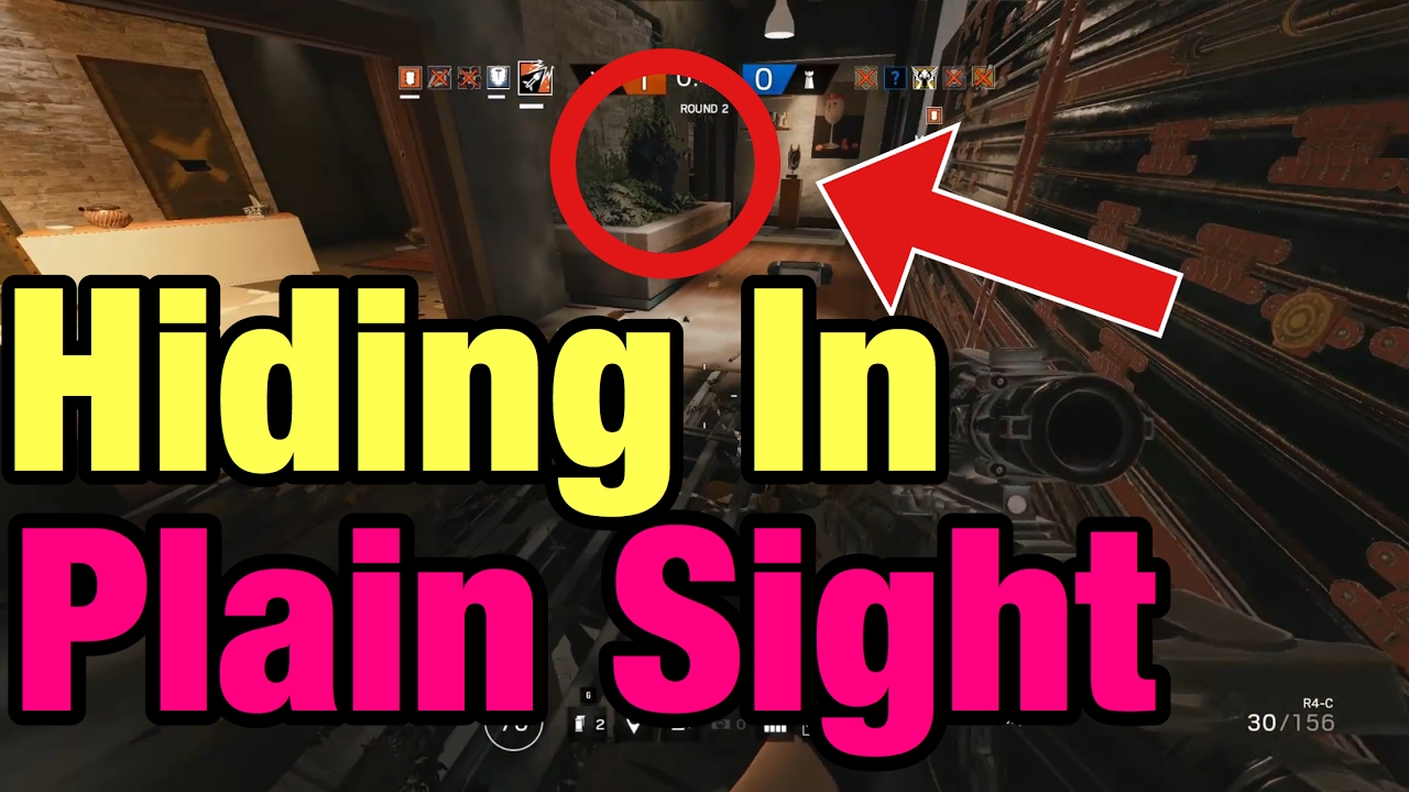 How to Hide in Plain Sight picture How to Hide in Plain Sight foto
