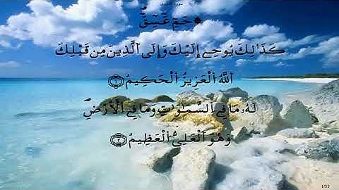 سورة الشورى//لفضيلة الشيخ محمد أبو سنينة