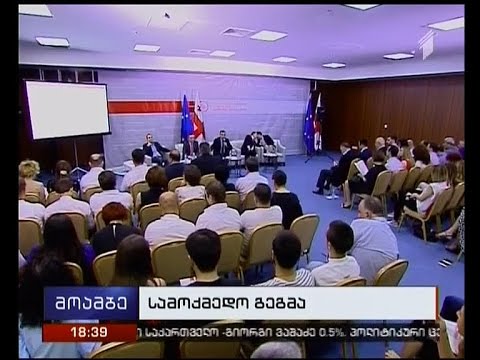 ეკონომიკური სამოქმედო გეგმა - ენმ-მ საკუთარი ხედვები საზოგადოებას წარუდგინა