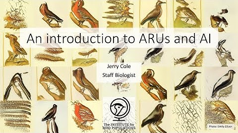 An Introduction to ARUs and AI