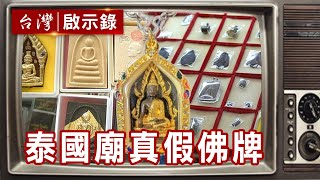 泰國廟大揭密 直擊真假佛牌【台灣啟示錄精華】復刻版 第 909集 洪培翔