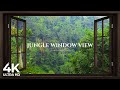 4k jungle open window view with birds singing  relaxing calming ambience white noise