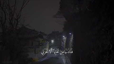 قَالَتْ يَا لَيْتَنِي مِتُّ قَبْلَ هَٰذَا وَكُنتُ نَسْيًا مَّنسِيًّا _ تلاوة هادئة من سورة مريم