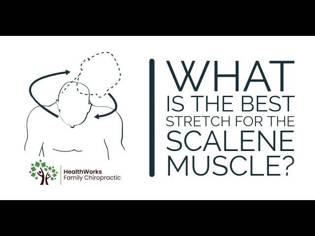 What Is The Best Stretch For The Scalene Muscle? class=