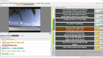 Wincaps Q4 Enterprise: Aligner