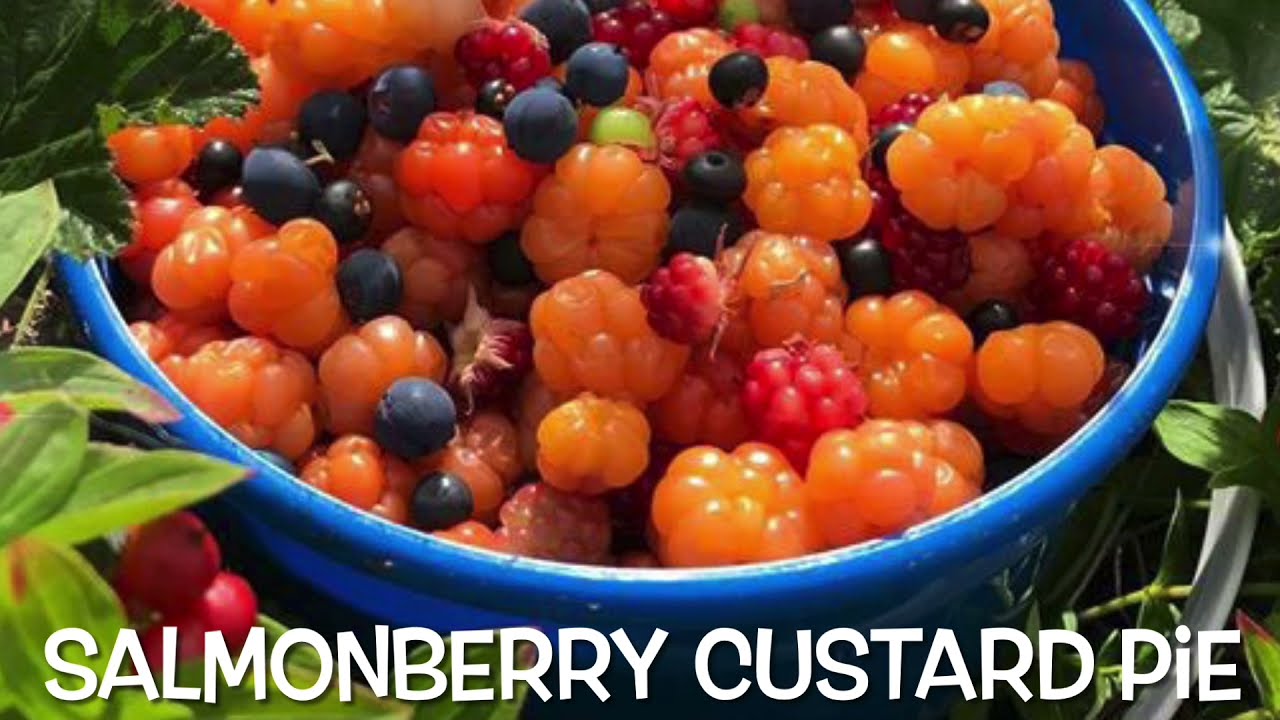 Salmonberry Custard Pie YouTube