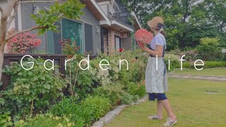 불타는 330평정원 가드닝 🔥 Burning Gardening / 바크깔기, 자엽안개나무, 무늬산딸나무, 바위수국, 겹데이지, 털수염사초, 팜파스사초