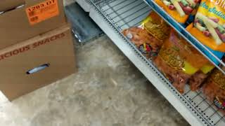 Mouse Trap at Dollar Tree San Antonio, Texas
