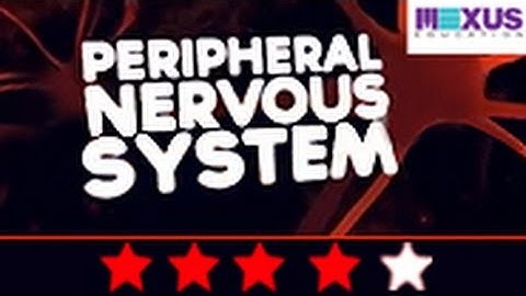 Biology Video: Learn About Peripheral Nervous System