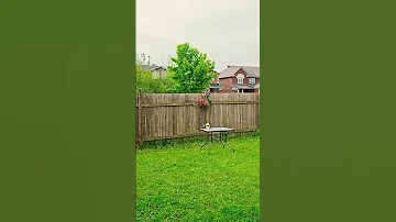 May 31 2025 