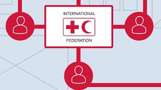 Pedido Forzest En Línea