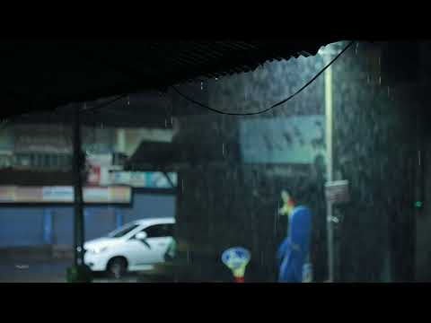 Cozy Rain and Thunder Sounds on Roof | Help Study, Meditation, PTSD, Insomnia & Tinnitus