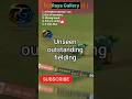 Unseen outstanding 🫴 🪝 fielding in cricket history and IPL #cricket #ipl #2026 #viral #new