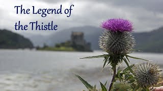 The Legend of the Thistle