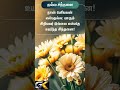 #MotivationalPowerful Tamil Motivation Quotes 💥 | Life Changing Words Best Tamil Inspirational quote