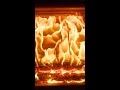 Lori Wood Stove