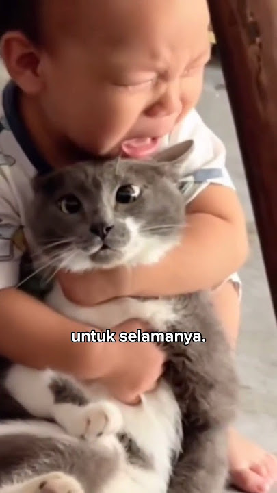 The child is deeply devastated by the death of his cat 🥺
