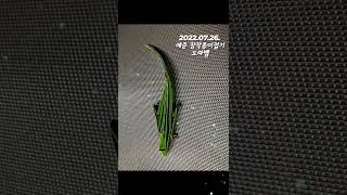 110925 예준이의 종이접기