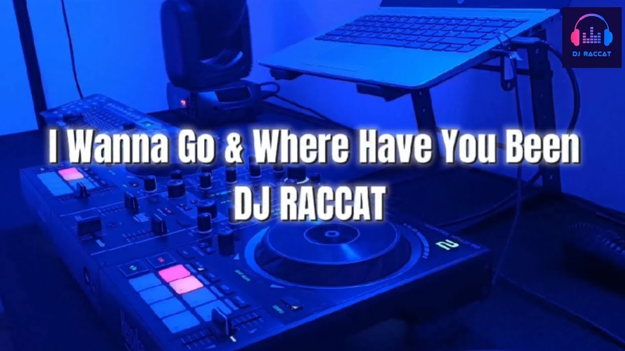 I Wanna Go & Where Have You Been (MASHUP DJ RACCAT) 