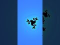 Julia set animation at x: -0.7401962333289502 y: 0.1347363185118629